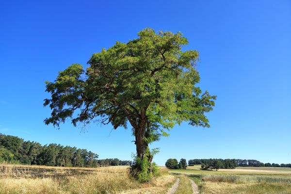 Wandertipp Nr. 25-06