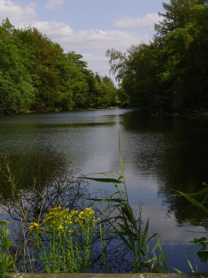Das Lopautal bei Wulfsode