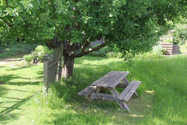 Bank unter Apfelbaum
