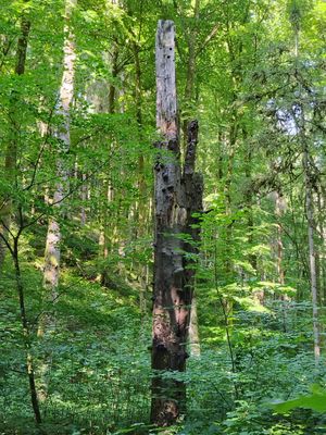 Wandertipp Nr. 25-06