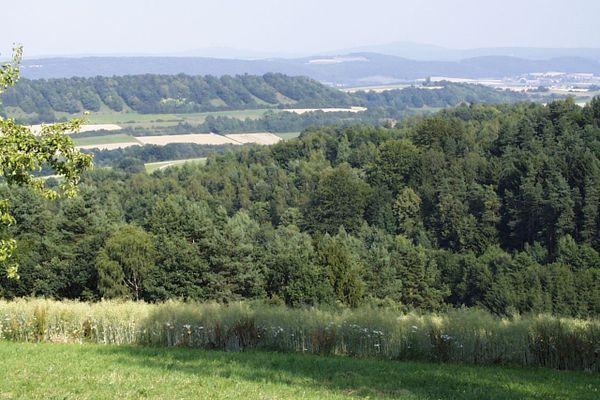 Landschaft