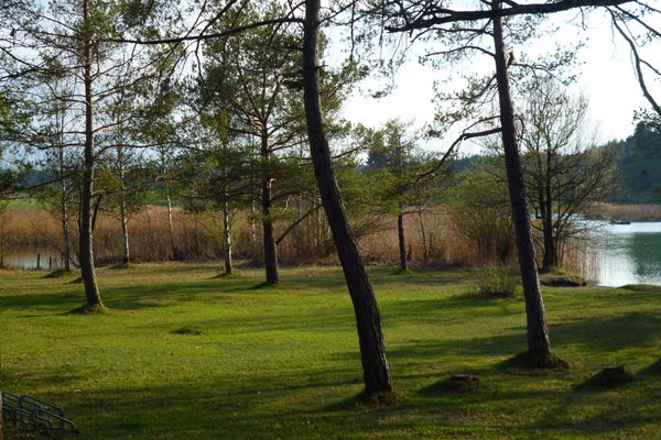 Auf der Liegewiese am Ostufer des Fohnsees spenden zahlreiche Bäume Schatten.