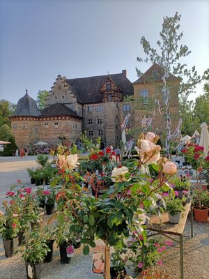 Gartenfest Schloss Eyrichshof