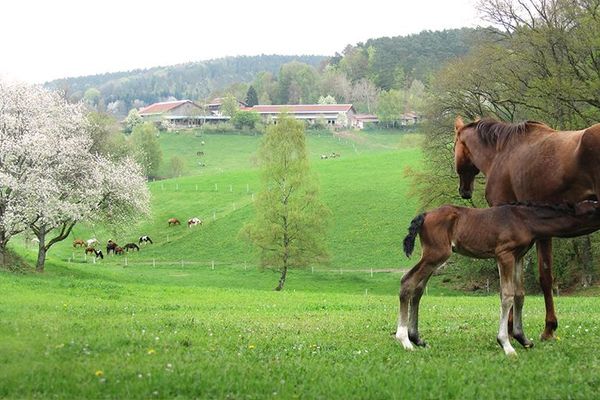 Unsere Farm