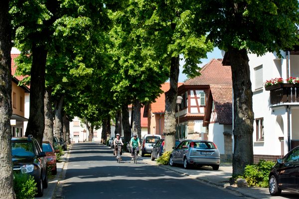 Lindenallee Strullendorf, RegnitzRadweg