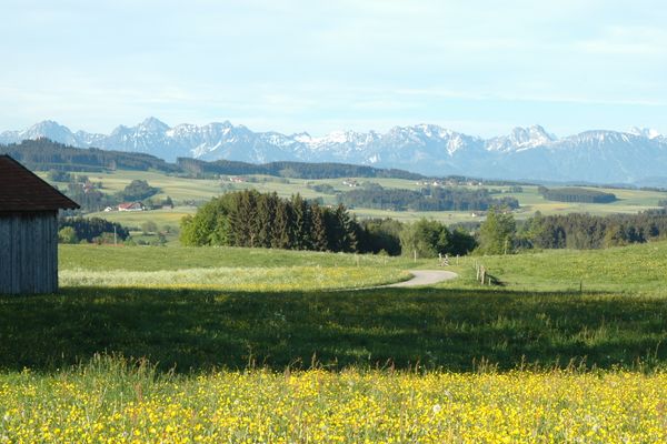 Blick in die Allgäuer Berge südlich von Krottenhill