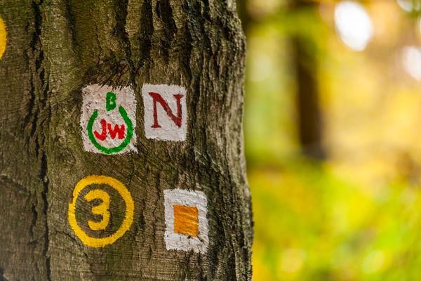 Der Bildungs- und Jungendwanderweg Bürgstadt verläuft auf rund 4 Kilometern des Nibelungensteigs