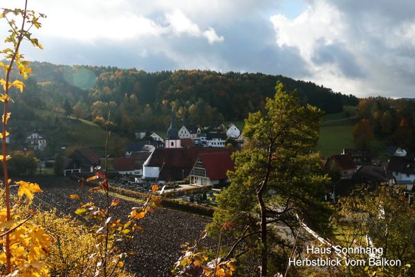 Herbstblick 2021 vom Balkon