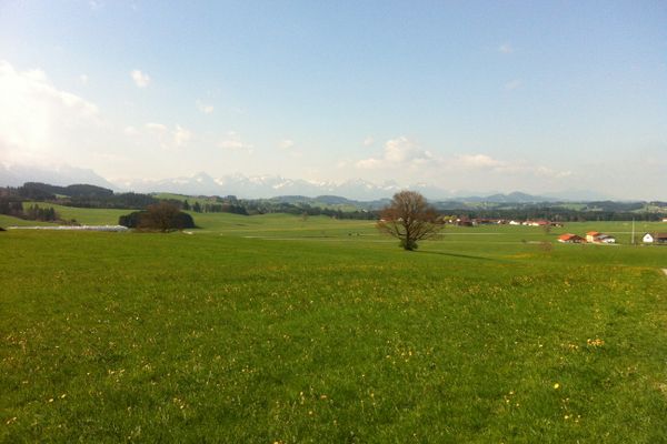 Unweit von Steingaden hat man einen grandiosen Alpenblick