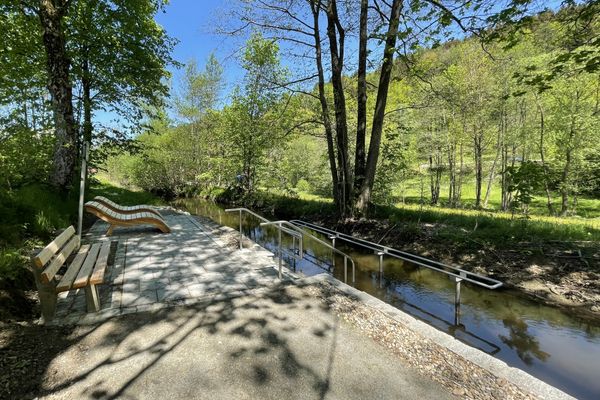 Großes Wassertretbecken mit mittig umlaufender Haltestange. Davor stehen zwei hölzerne Schwungliegen und eine Bank. Hinter dem Tretbecken mehrere sonnendurchflutete Laubbäume und Sträucher.