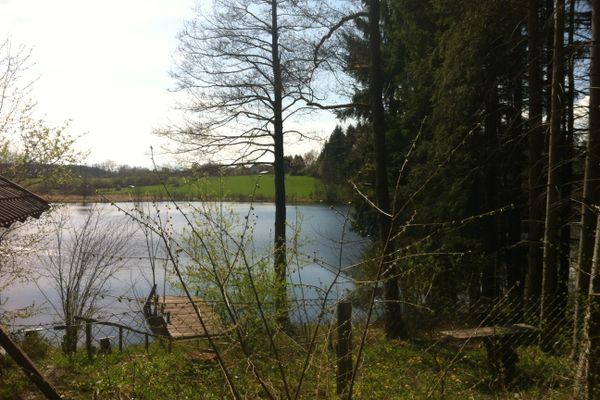 Im Wald versteckt liegt der Neuer Weiher