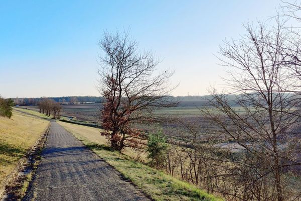 Zwischen Jastorf und Klein Bünstorf bietet der Serviceweg des Elbe-Seitenkanals eine weite Sicht über die offene Kulturlandschaft. Der befestigte Weg fällt hier leicht ab und führt zu einem autofreien Verbindungsweg zwischen den beiden Orten. Die ruhige Umgebung und das sanfte Licht machen diesen Ort zu einem stillen Höhepunkt für Naturgenuss und Entschleunigung.