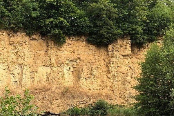 Bild des Datensatzes Der Schatz am Kallenbergsee