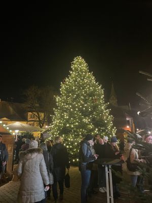 Menschen genießen die weihnachtliche Atmosphäre auf dem Weihnachtsmarkt Hardheim