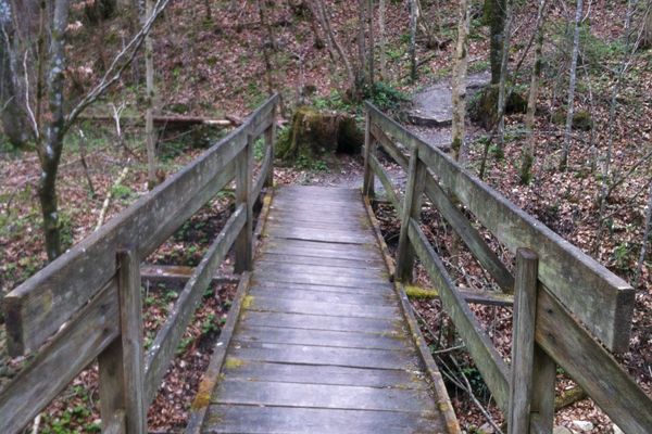 Holzbrücke über den Reitnerbach