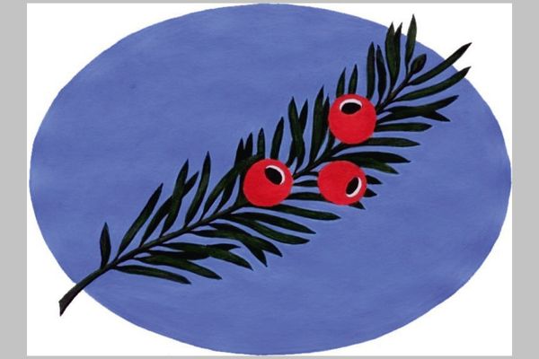Symbol der Eibenwaldrunde