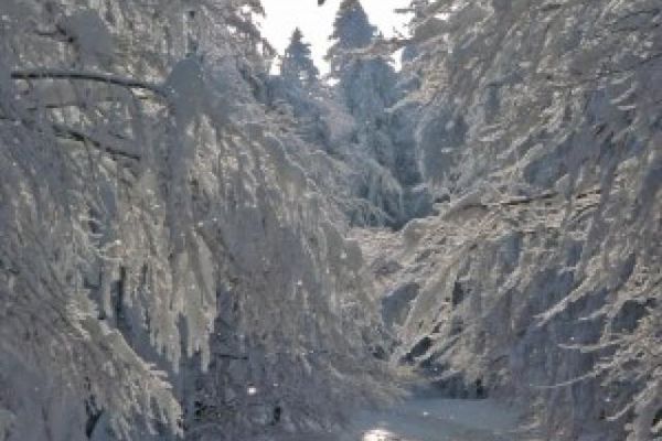Langlauf in Schwarzach - Grandsberg