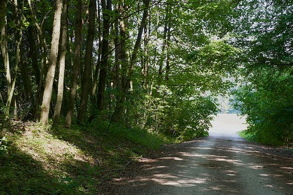 Markierte Wanderwege