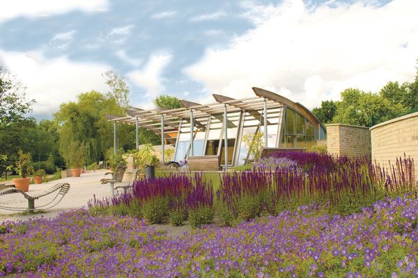 Sonnenfalle im Kurpark Bad Bevensen