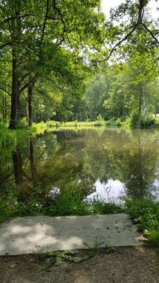 Kur- und Wandelwege Schwanenweiher