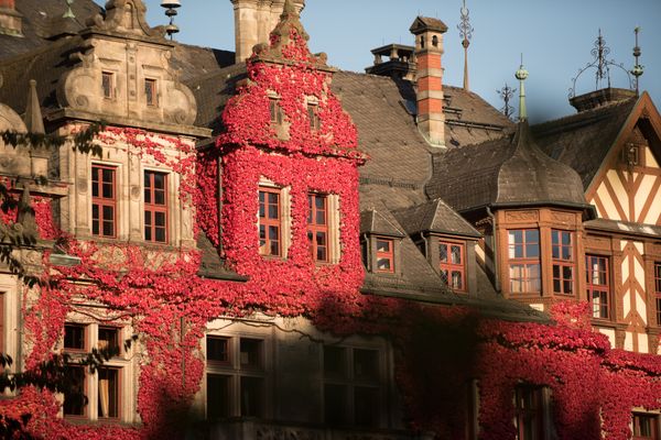 Schloss Ramholz im Herbst