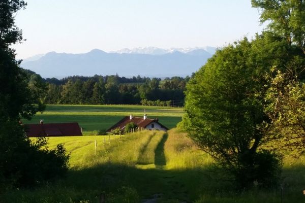 Paradieshof - Café, Events, Obst, Kräuter