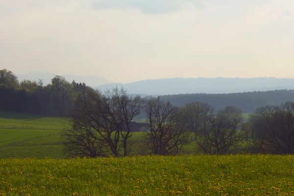 Idyllischer Blick vom Schellenberg nach Südwesten.
