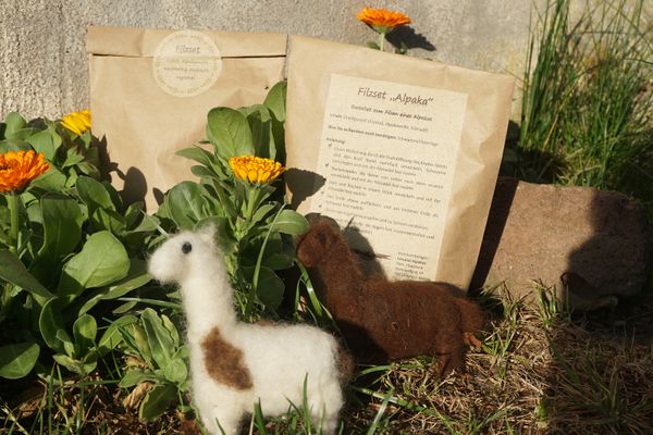 Zwei braune Papiertüten mit der Aufschrift Filzset "Alpaka", Bastelset zum Filzen eines Alpakas sind hübsch zwischen orangen Studentenblumen (Tagetes) dekoriert. Im Vordergrund auf Heu stehen ein braunes und ein weißes mit braunen Flecken gefilztes Alpaka.