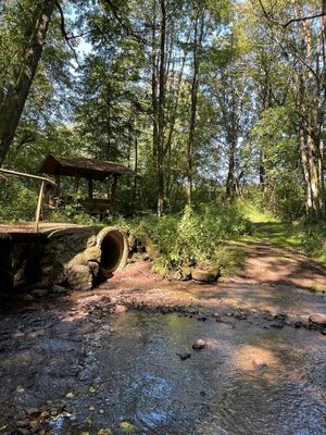Es ist ein sonniger Tag. Ein sanft plätscherndes Flussbett, mit zahlreichen Basaltsteinen durchzogen, liegt im Vordergrund des Bildes. Eine Brücke mit einem großen Wasserrohr führt auf die gegenüberliegende Uferseite. Dort erstreckt sich ein Laubwald durch den ein Wanderpfad verläuft. Am linken Bildrand steht eine überdachte Holzsitzgarnitur.