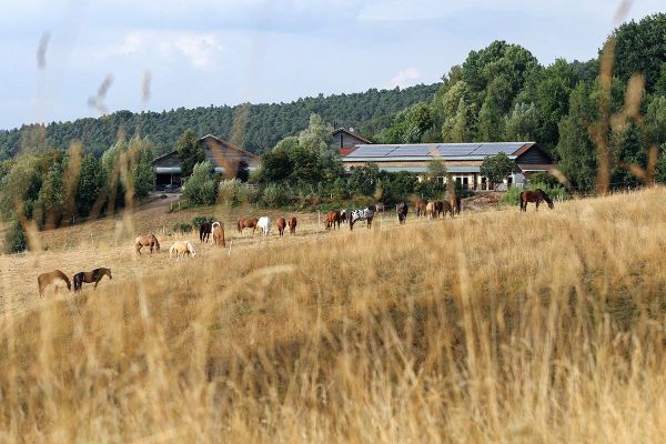 Unsere Farm