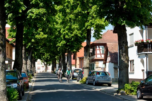 Radfahrer in der Lindenallee Strullendorf / Regnitzradweg