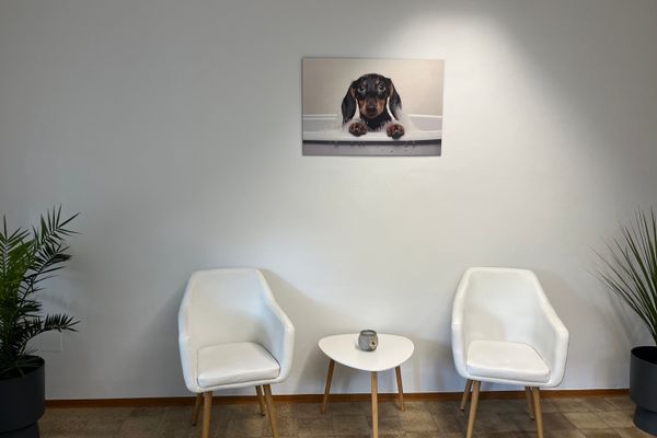 Auf dem Bild sind die Sitzgelegenheiten im Inneren des Salons zu sehen.