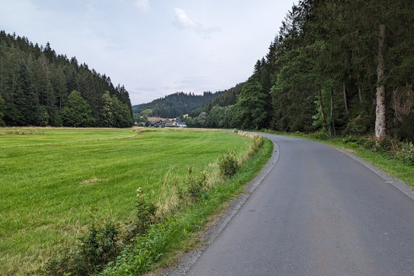 Das Bild zeigt den Radweg Richtung Steinberg. Dieser ist umgeben von Wald- und Wiesenlandschaft.