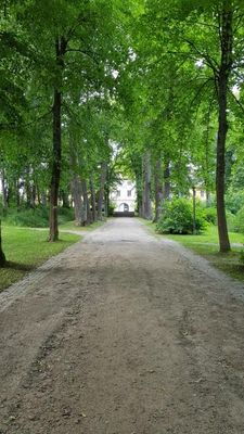 Allee von der Quelle bis zum Schloß