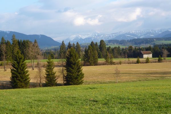 Traumhafter Blick über die saftig grünen Wiesen hinweg auf die Alpenkette.