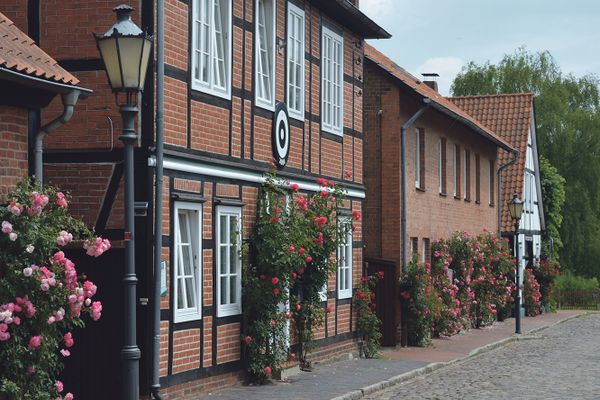 Fachwerkhäuser mit blühenden Rosen entlang der Pastorenstraße in Bad Bevensen.