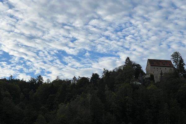 Eine Burg erhebt sich auf einem bewaldeten Hügel.