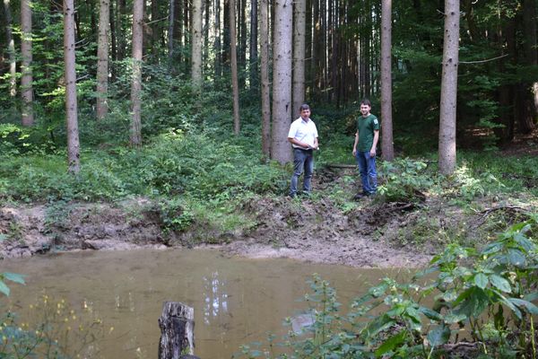 Der 1. Bürgermeister der Gemeinde Oberhaid Carsten Joneitis (links) und der stellvertretende Geschäftsführer des Naturpark Haßberge e. V. Herr Bandorf (rechts) begutachten eines der neuen Feuchtbiotope im Gemeindewald Oberhaid.