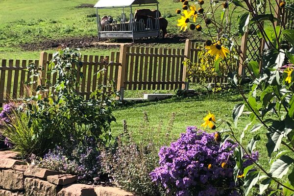 Garten