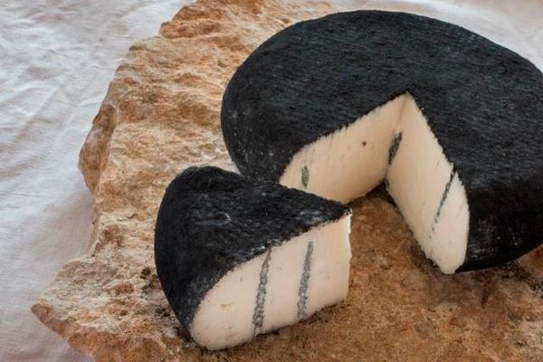ZicknBlues heisst ein milder Blauschimmelkäse