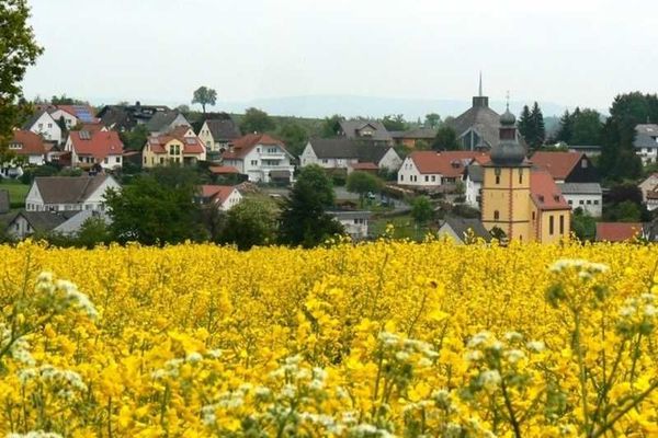 Auf dem HÃ¶henrÃ¼cken des Odenwaldes liegt Vielbrunn.