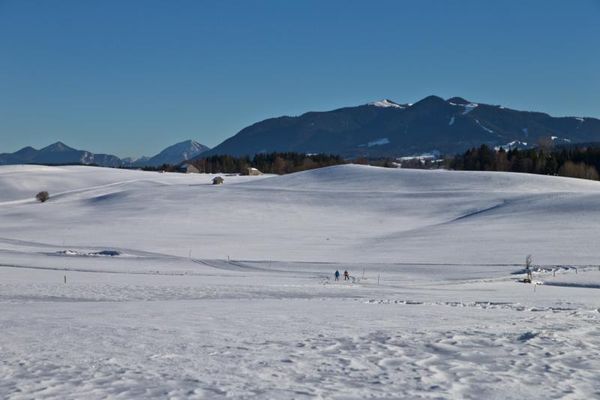 Winterlandschaft