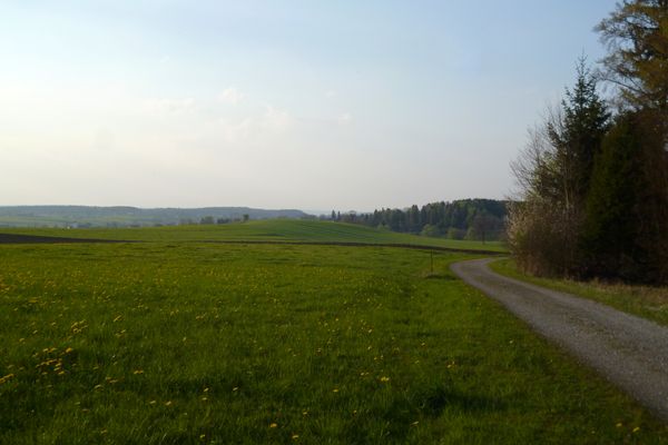 Blick über die freien Wiesen und Felder auf der Nordwestseite des Schellenbergs - bei genauem Hinschauen erkennt man am linken Bildrand die Eberfinger Kirche.