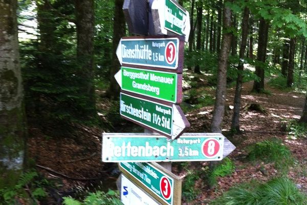 In einem Laubwald steht ein Holzpfahl, an dem mehrere Hinweisschilder, die in unterschiedliche Richtungen zeigen, untereinander angebracht sind.