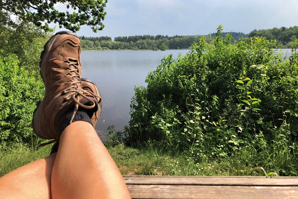 Das Wandern in der vom Vulkanismus geprägten Mittelgebirgsregion Vogelsberg im Herzen Hessens ist ein Genuss. Der Wanderweg "Drei-Seen-Tour Freiensteinau" führt auch am Grebenhain-Crainfelder Rothenbachteich vorbei. Dieser ist in weiten Teilen Vogelschutzgebiet.