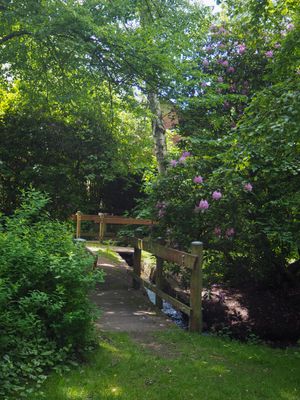 Kleine Brücke über einem Bachlauf mitten im Park