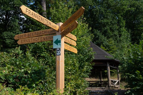 Viele Wege kann man gehen vom Schloss Alsbach aus