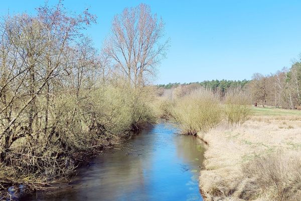 Die Ilmenau schlängelt sich durch eine offene Auenlandschaft am Rand des kleinen Ortes Bruchtorf im Landkreis Uelzen.