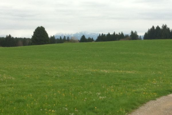 Alpenpanorama bei Buchen