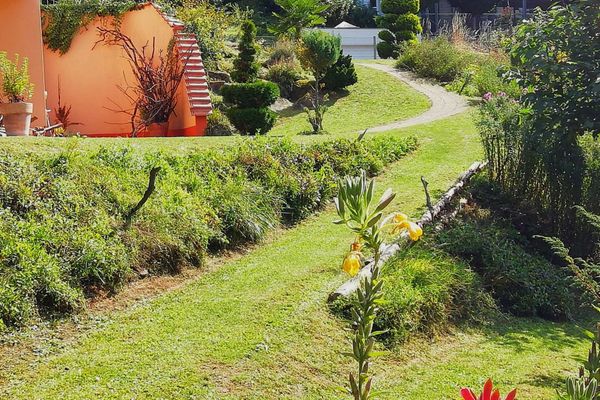 Garten